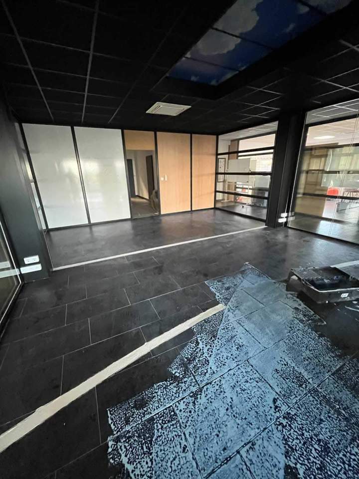 Damrys Vigneux de bretagne